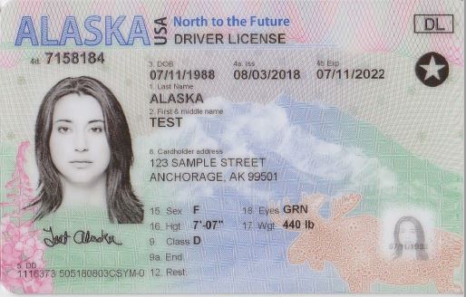 Alaska dmv driver s license renewal